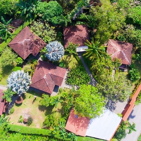 Casa Marcellino Lodge Cahuita Exteriör bild