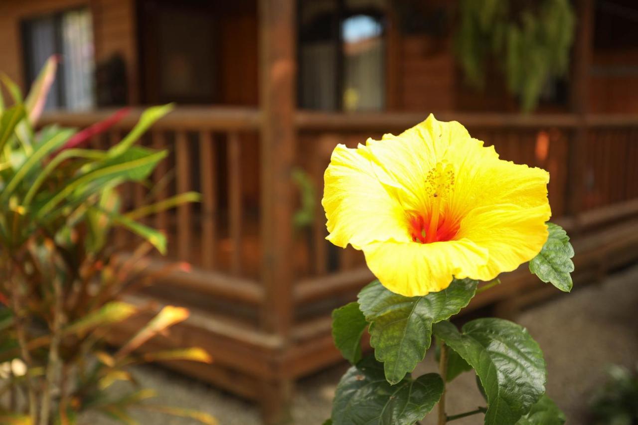 Casa Marcellino Lodge Cahuita Exteriör bild