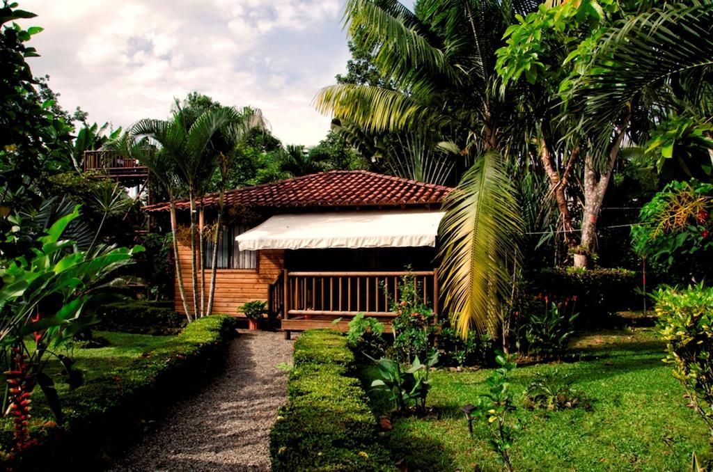 Casa Marcellino Lodge Cahuita Rum bild
