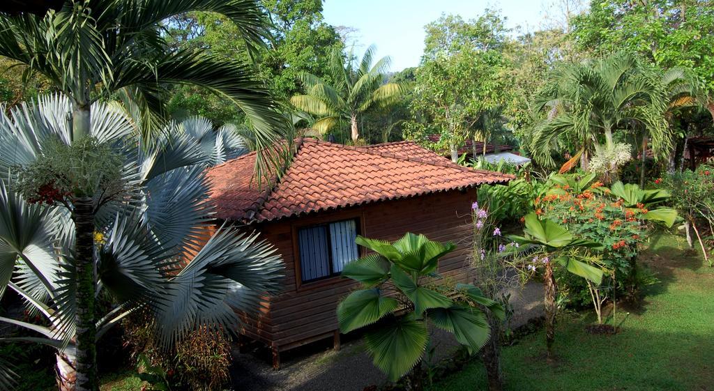 Casa Marcellino Lodge Cahuita Exteriör bild