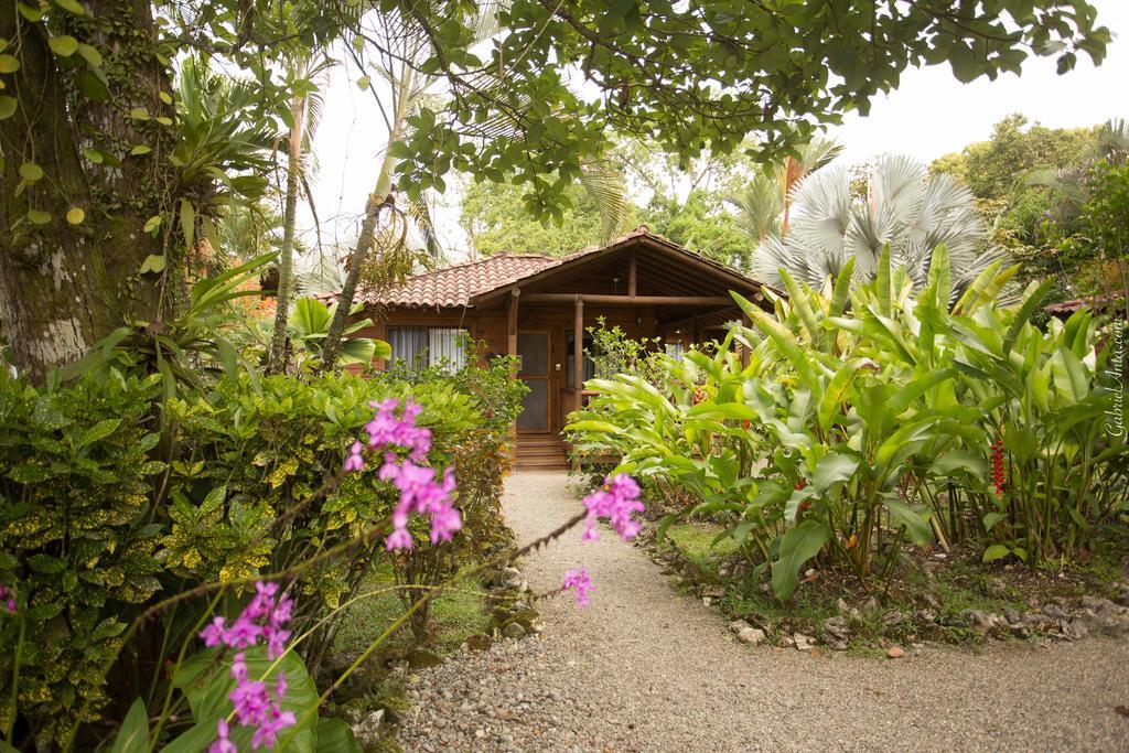Casa Marcellino Lodge Cahuita Exteriör bild