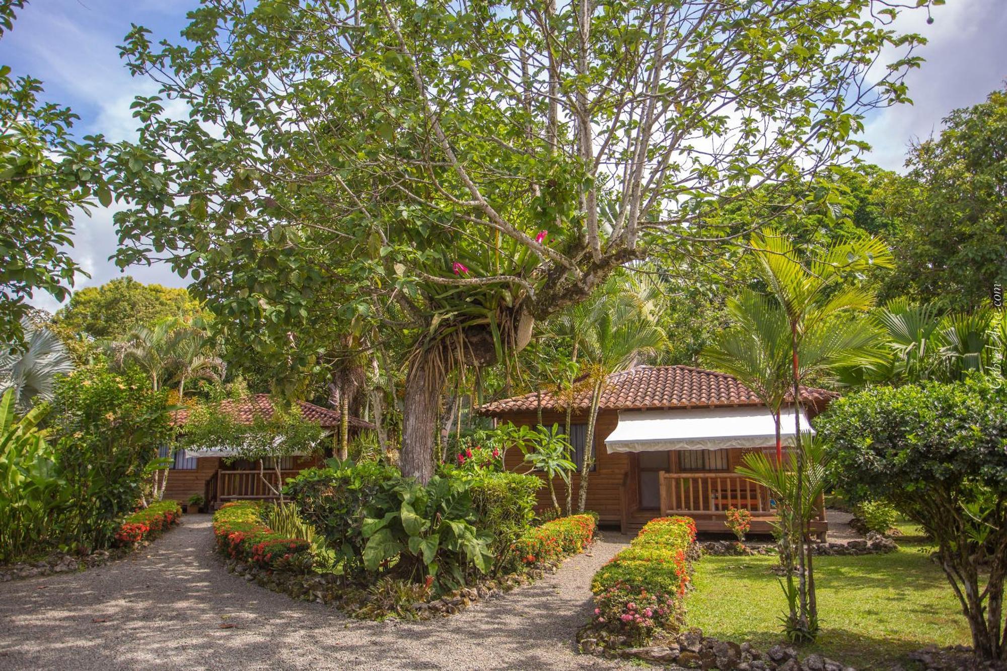 Casa Marcellino Lodge Cahuita Exteriör bild