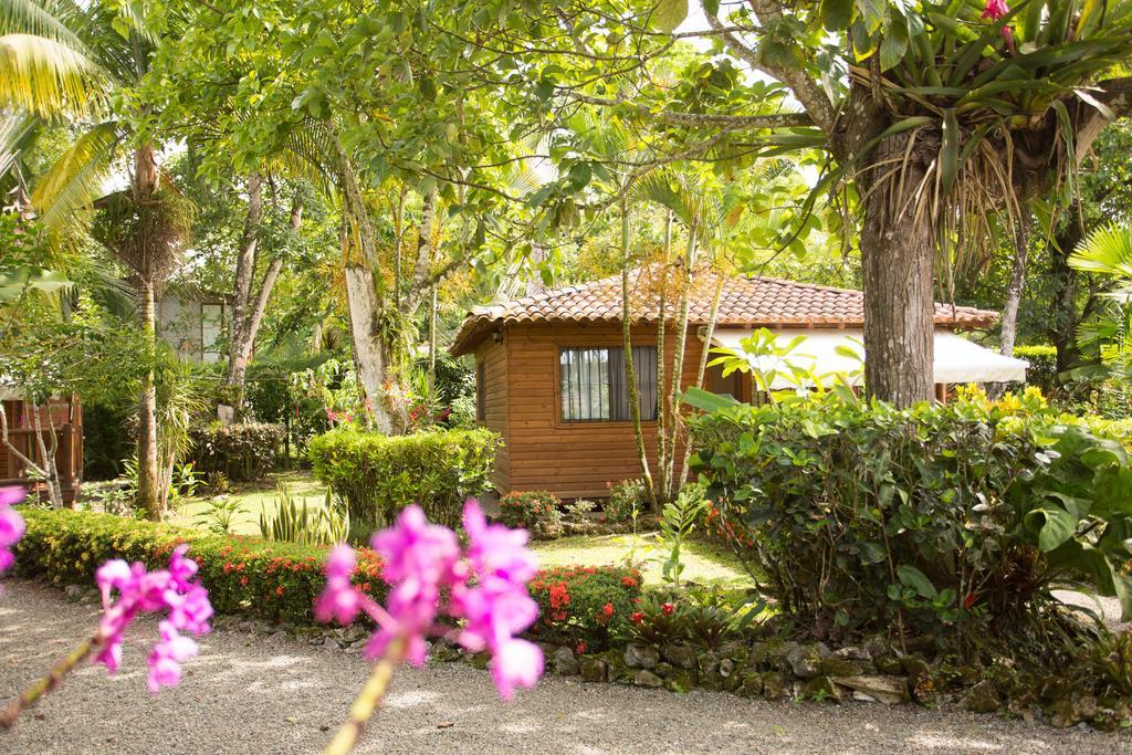 Casa Marcellino Lodge Cahuita Exteriör bild