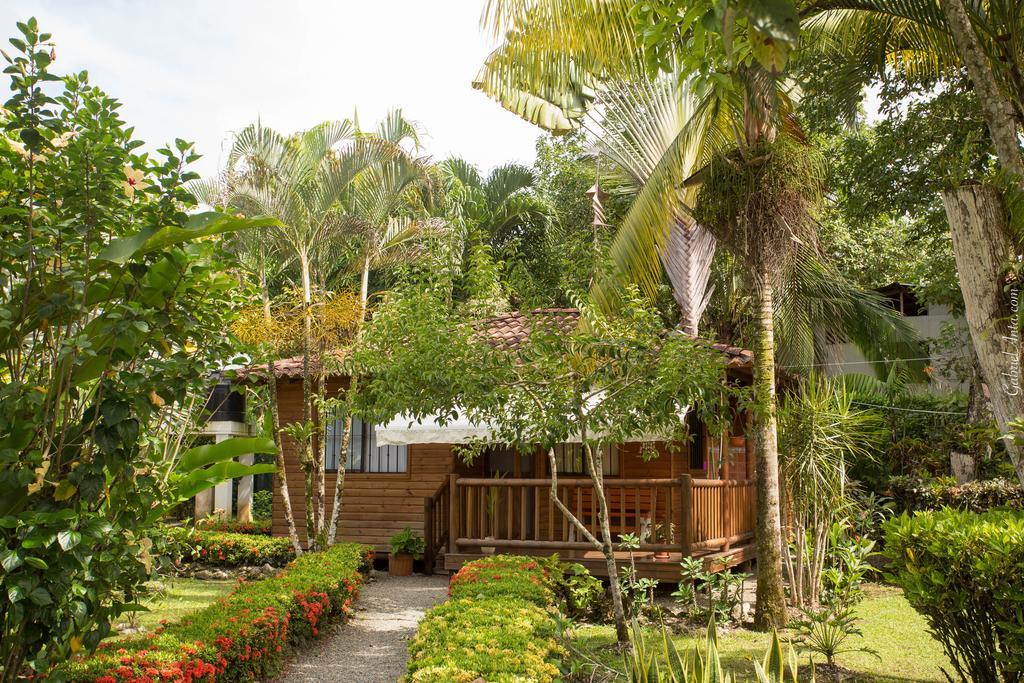 Casa Marcellino Lodge Cahuita Exteriör bild