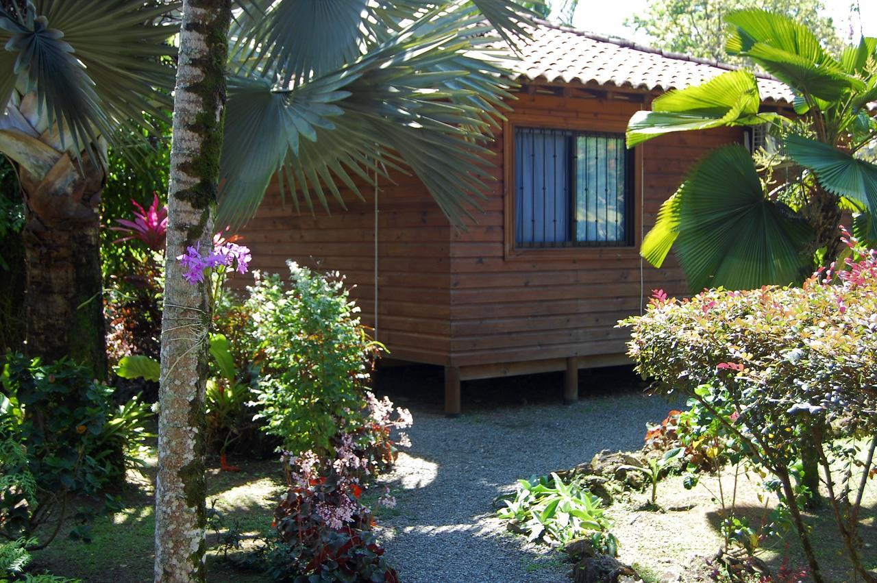 Casa Marcellino Lodge Cahuita Exteriör bild