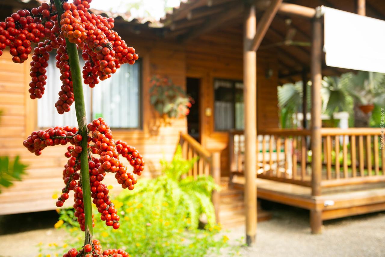 Casa Marcellino Lodge Cahuita Exteriör bild